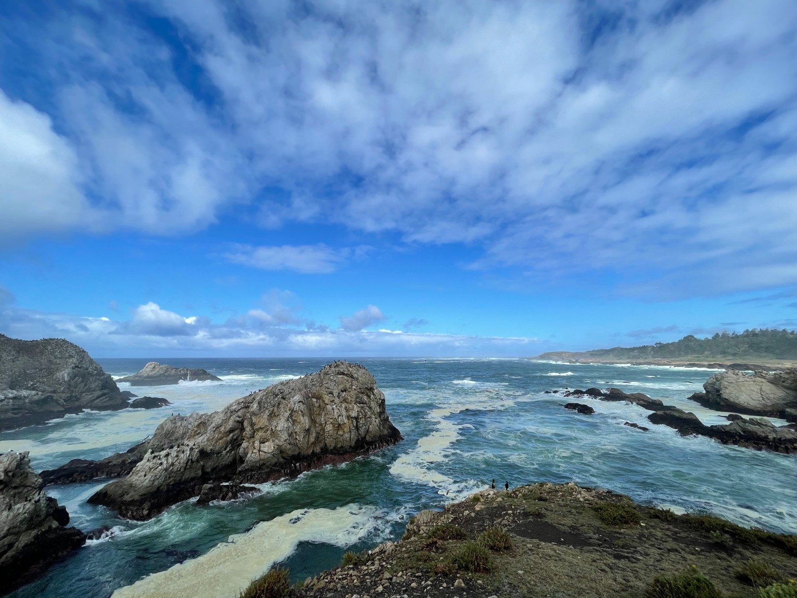 La route 66, la côte ouest américaine jusqu’à Tofino et retour par la&nbsp;transcanadienne
